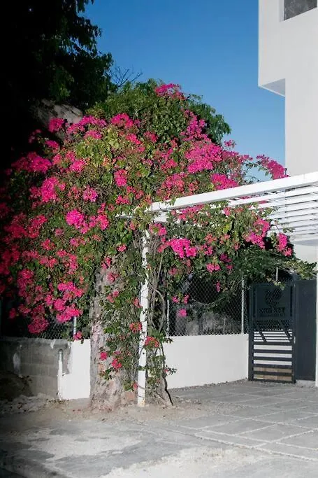 Apartamento C Apartment Puerto Plata Dominican Republic